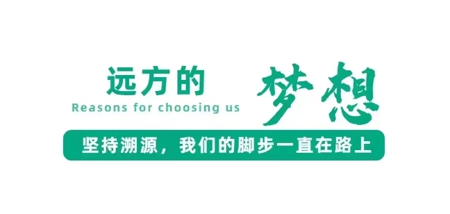 微信截图_20241019110135.png